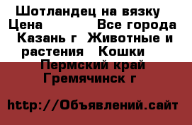 Шотландец на вязку › Цена ­ 1 000 - Все города, Казань г. Животные и растения » Кошки   . Пермский край,Гремячинск г.